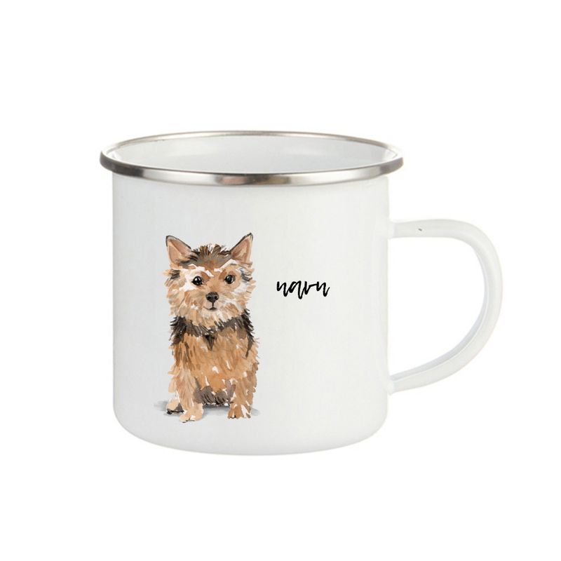 Norwich terrier