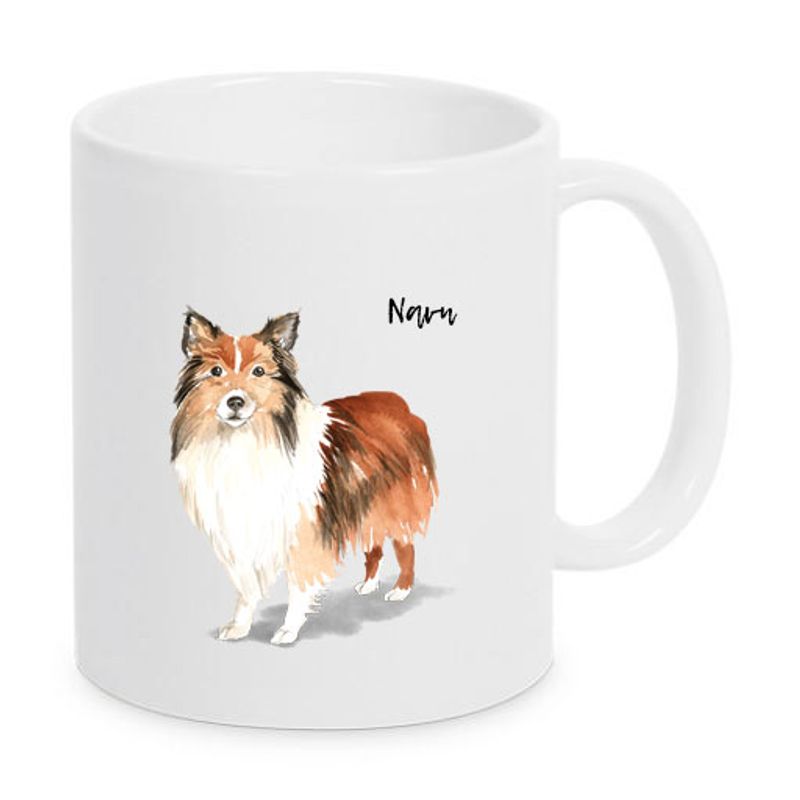 Shetland sheepdog