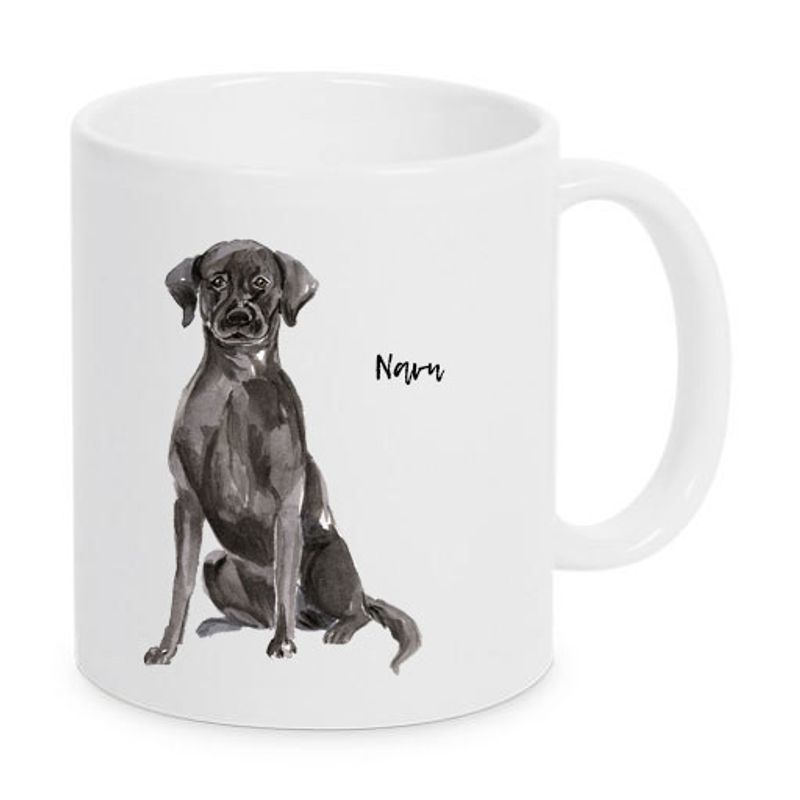 Labrador svart