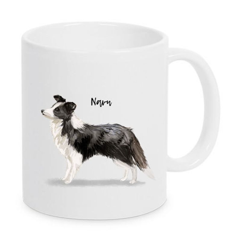 kopp Border collie